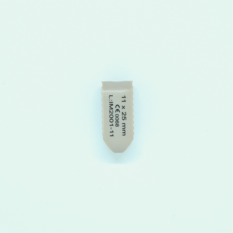 PLIF PEEK KAFES 0° 25 x 6 mm-2