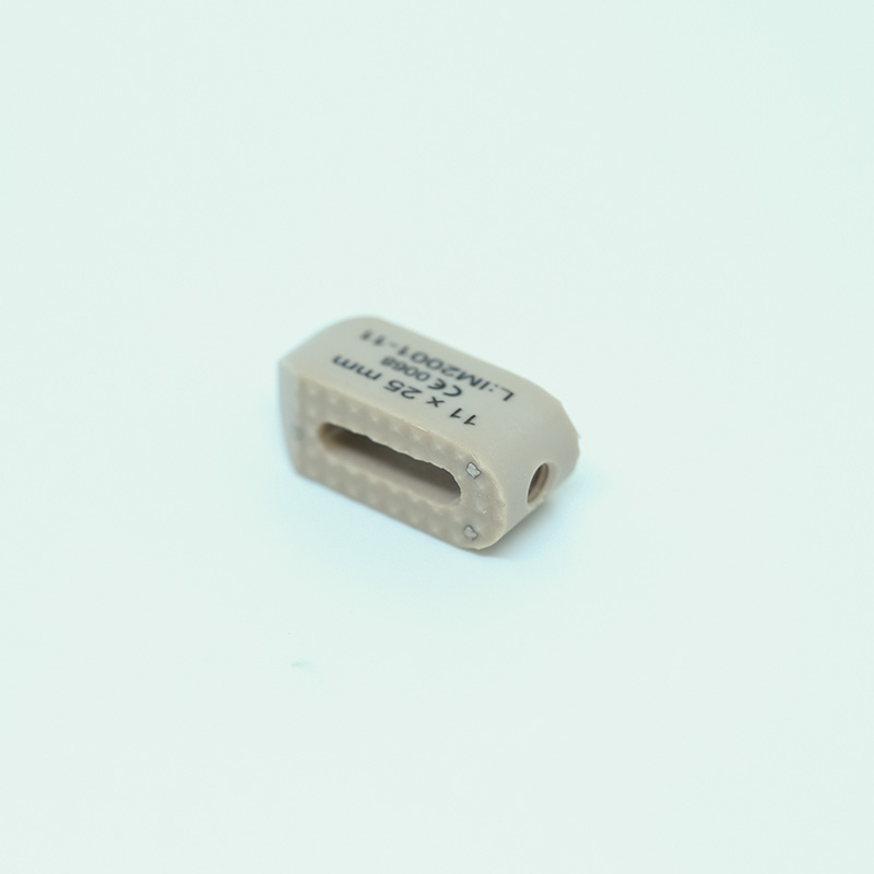 PLIF PEEK KAFES 0° 25 x 6 mm-3
